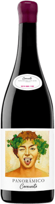 Vinos del Panorámico Majuelos del Panorámico Caracuesta Garnacha Rioja 75 cl