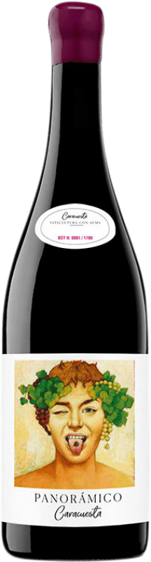 Spedizione Gratuita | Vino rosso Vinos del Panorámico Majuelos del Panorámico Caracuesta D.O.Ca. Rioja La Rioja Spagna Grenache 75 cl