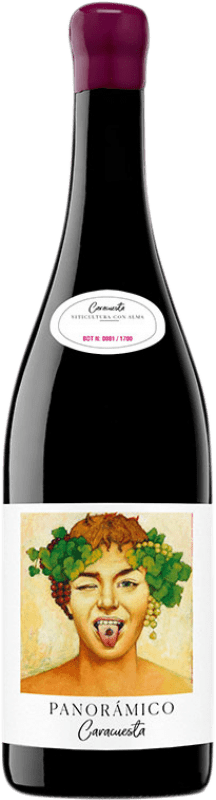 Envío gratis | Vino tinto Vinos del Panorámico Majuelos del Panorámico Caracuesta D.O.Ca. Rioja La Rioja España Garnacha 75 cl