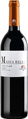Hill Masía 若い