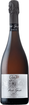 Hill Panot Gaudí Cuvée Brut Cava Riserva 75 cl