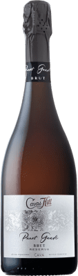 Hill Panot Gaudí Brut Cuvée Reserve — Aged