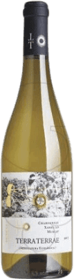 Covides Terra Terrae 若い