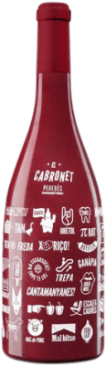 El Cabronet Cabernet Sauvignon Penedès Crianza — Aged Magnum Bottle 1,5 L