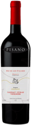 Pisano Río de los Pájaros Tannat 75 cl