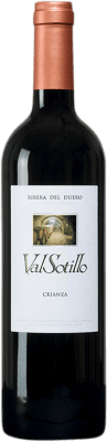 Ismael Arroyo Valsotillo Tempranillo Ribera del Duero 高齢者 75 cl