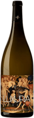 Pablo Vidal Luxuria Monterrei старения 75 cl