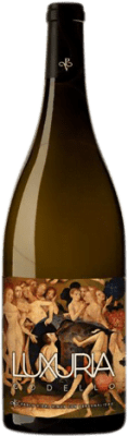 Pablo Vidal Luxuria Crianza