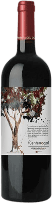 Solterra Fuente Nogal Tempranillo — Темпранильо Ribera del Duero молодое 75 cl