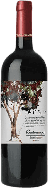 Rotwein Solterra Fuente Nogal Jung D.O. Ribera del Duero Spanien Tempranillo Flasche 75 cl
