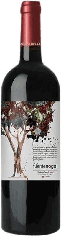 红酒 Solterra Fuente Nogal 年轻的 D.O. Ribera del Duero 西班牙 Tempranillo 瓶子 75 cl
