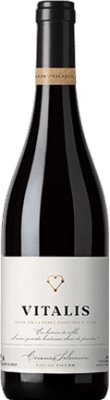 Vitalis Selección Prieto Picudo Tierra de León старения 75 cl