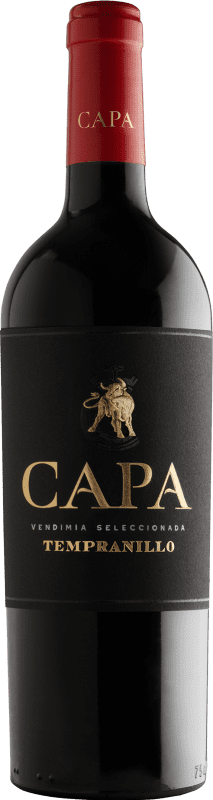Красное вино Hammeken Capa Single Vineyard старения I.G.P. Vino de la Tierra de Castilla