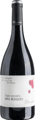 Viníric Finques Incansables Mas Rusques Negre Carignan Empordà Crianza 75 cl