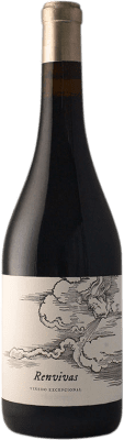 Viñas Serranas Renvivas Rufete — 鲁费特 75 cl