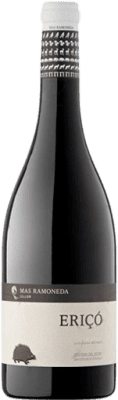 Eriçó Costers del Segre Crianza — Aged 75 cl