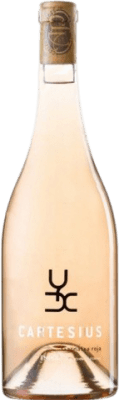 Arché Pagés Cartesius Empordà 年轻的 75 cl