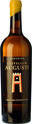 Castellun Augusti Albariño Viño da Terra de Barbanza e Iria 75 cl