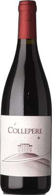 Collepere Colli Maceratesi Rosso 75 cl