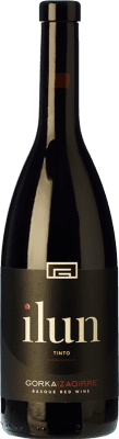 Gorka Izagirre Ilun de Gorka Txacoli Hondarribi Beltza 75 cl