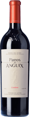 Pagos de Anguix Costalara