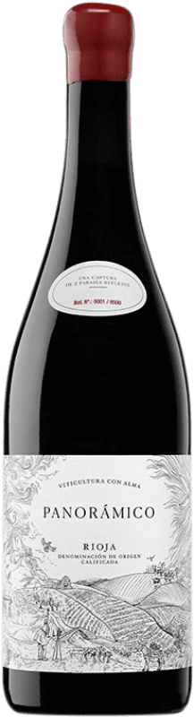 Free Shipping | Red wine Vinos del Panorámico D.O.Ca. Rioja The Rioja Spain Tempranillo, Grenache 75 cl