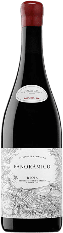 Envoi gratuit | Vin rouge Vinos del Panorámico D.O.Ca. Rioja La Rioja Espagne Tempranillo, Grenache 75 cl