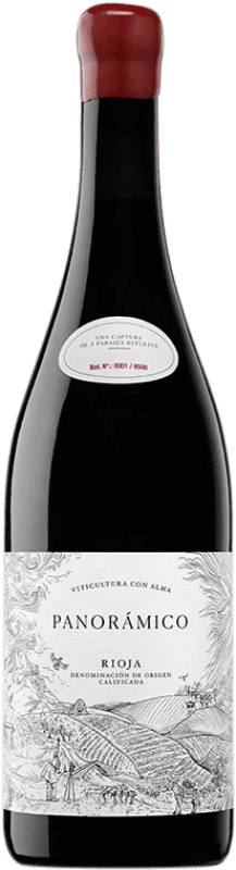 Spedizione Gratuita | Vino rosso Vinos del Panorámico D.O.Ca. Rioja La Rioja Spagna Tempranillo, Grenache 75 cl