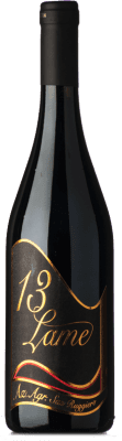 San Ruggiero 13 Lame Nero di Troia Puglia 75 cl