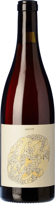Vinyes Tortuga Doolittle Barbera — Барбера 75 cl