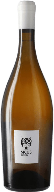 18,95 € | 白酒 Sicus Cartoixà Àmfora D.O. Penedès 加泰罗尼亚 西班牙 Xarel·lo 75 cl