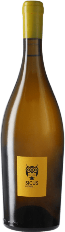 29,95 € Envio grátis | Vinho branco Sicus Cartoixà Brisat D.O. Penedès