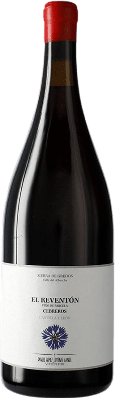 172,95 € | Rotwein Landi El Reventón I.G.P. Vino de la Tierra de Castilla y León Kastilien und León Spanien Magnumflasche 1,5 L