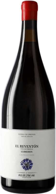 172,95 € | Vinho tinto Landi El Reventón I.G.P. Vino de la Tierra de Castilla y León Castela e Leão Espanha Garrafa Magnum 1,5 L
