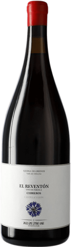 164,95 € Envío gratis | Vino tinto Landi El Reventón I.G.P. Vino de la Tierra de Castilla y León Botella Magnum 1,5 L