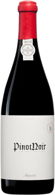 Niepoort Projecto Pinot Noir — Spätburgunder Douro 75 cl