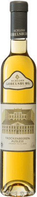 Бесплатная доставка | Белое вино Schloss Gobelsburg TBA I.G. Kamptal Кампталь Австрия Grüner Veltliner Полубутылка 37 cl