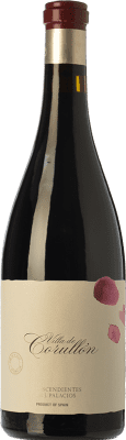 31,95 € | Red wine Descendientes J. Palacios Villa de Corullón Aged D.O. Bierzo Castilla y León Spain Mencía Half Bottle 37 cl