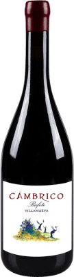 Cámbrico Viñas Villanueva