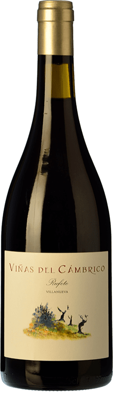 18,95 € | 红酒 Cámbrico Viñas Villanueva I.G.P. Vino de la Tierra de Castilla y León 卡斯蒂利亚莱昂 西班牙 Tempranillo, Grenache, Rufete 75 cl
