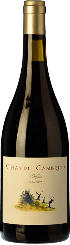 24,95 € 送料無料 | 赤ワイン Cámbrico Viñas Villanueva I.G.P. Vino de la Tierra de Castilla y León