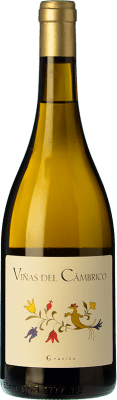 Cámbrico Viñas Rufete Blanc Vino de la Tierra de Castilla y León 75 cl