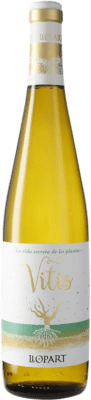 Llopart Vitis