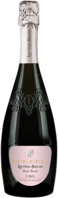 Lavernoya Lacrima Baccus Summum Brut — Bruto Cava Rosé 75 cl