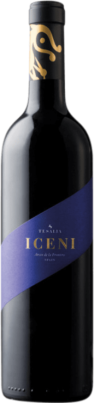 Бесплатная доставка | Красное вино Tesalia Iceni I.G.P. Vino de la Tierra de Cádiz Андалусия Испания Syrah, Tintilla de Rota 75 cl