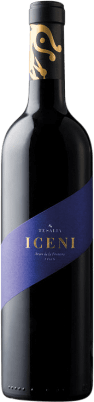 11,95 € | Красное вино Tesalia Iceni I.G.P. Vino de la Tierra de Cádiz Андалусия Испания Syrah — Сира, Tintilla de Rota 75 cl