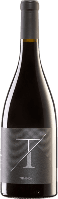 Vins del Tros Tremenda Carignan Terra Alta 75 cl