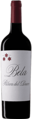 Norte de España - CVNE Bela 9 Meses Tempranillo Ribera del Duero Carvalho Garrafa Magnum 1,5 L