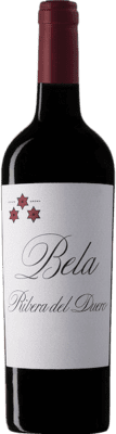 Norte de España - CVNE Bela 9 Meses Tempranillo Ribera del Duero Carvalho Garrafa Magnum 1,5 L