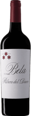 Norte de España - CVNE Bela 9 Meses Tempranillo Ribera del Duero Chêne Bouteille Magnum 1,5 L